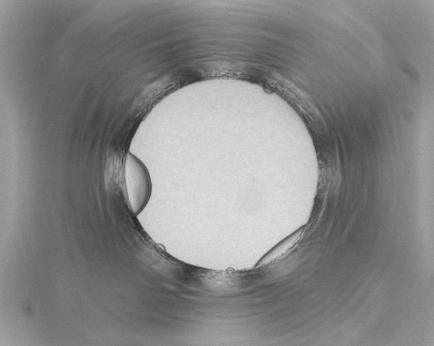 X0000115400142200912011213