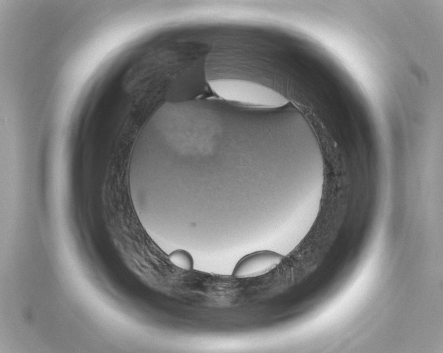 X0000115400143200912011213