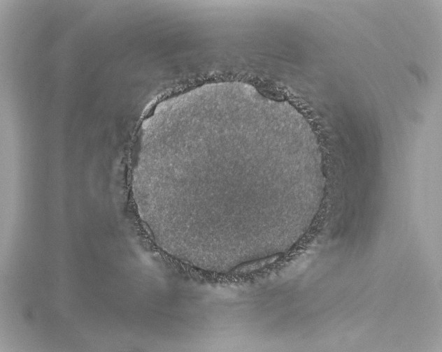 X0000115400144200912011213