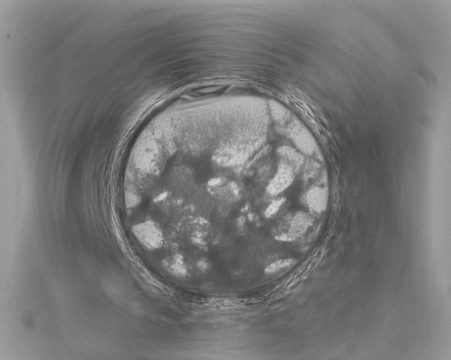 X0000115400145200912011212