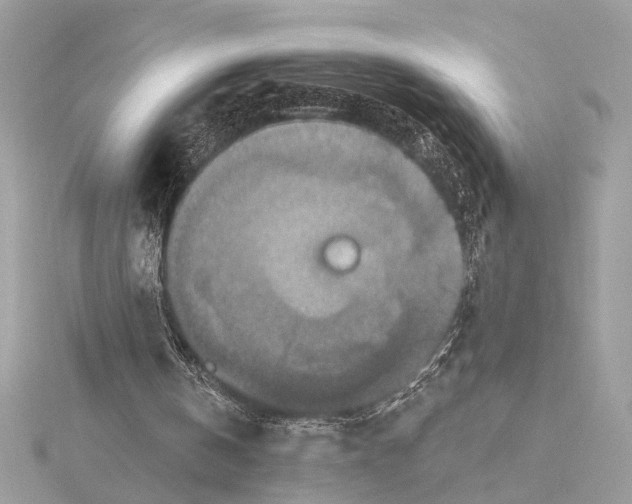 X0000115400146200912011212