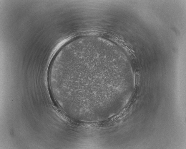 X0000115400147200912011212