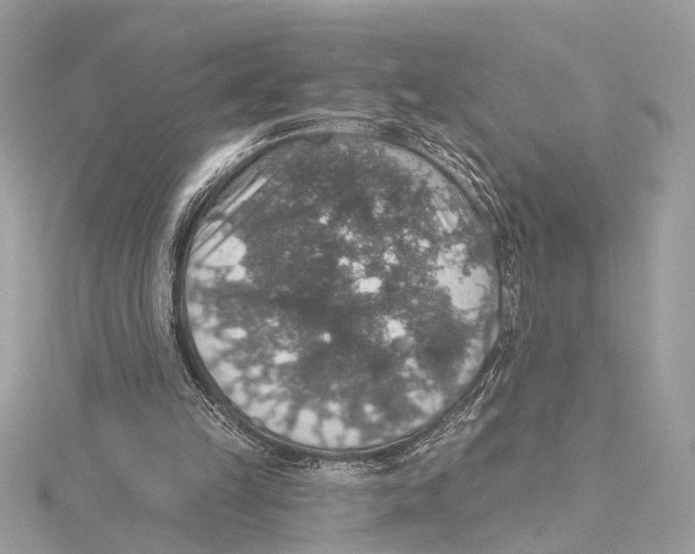 X0000115400149200912011212