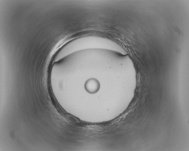 X0000115400150200912011212