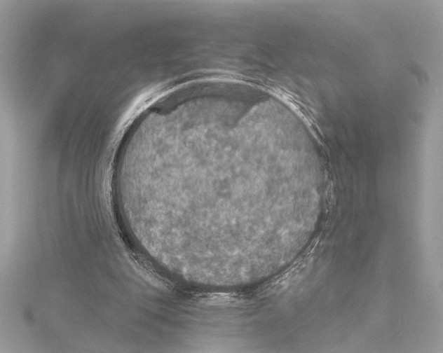 X0000115400151200912011212