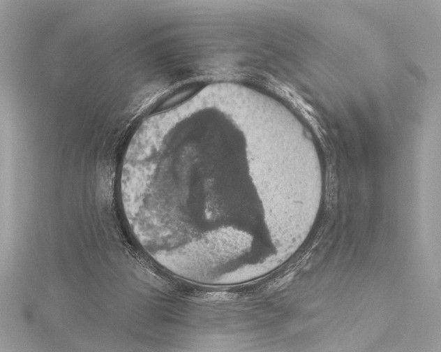 X0000115400153200912011212