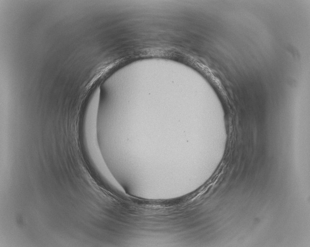 X0000115400154200912011212