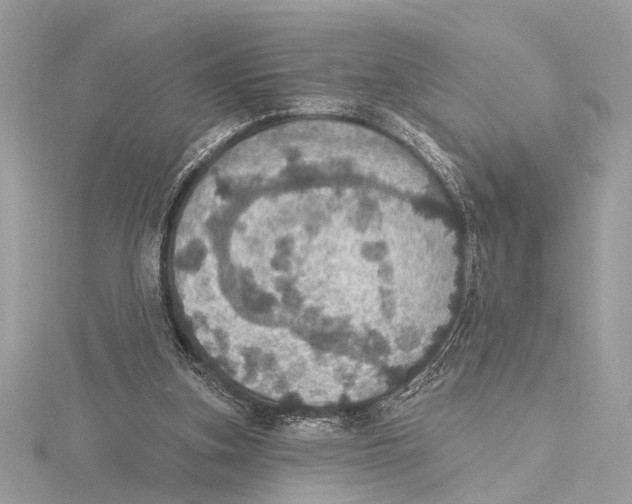 X0000115400155200912011212