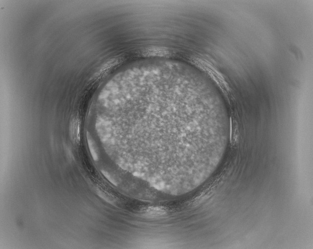 X0000115400157200912011212