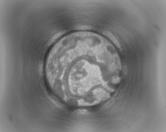 X0000115400159200912011212