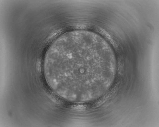 X0000115400161200912011212