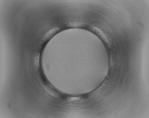 X0000115400163200912011212