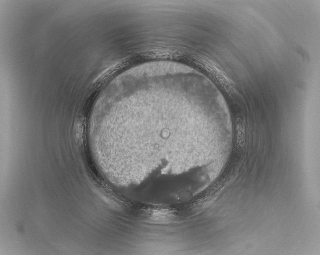 X0000115400165200912011212