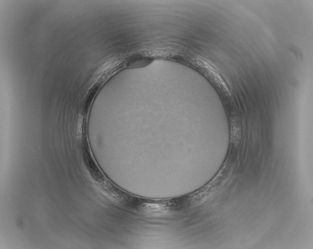 X0000115400167200912011212