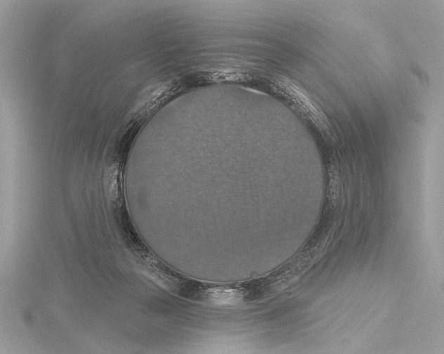 X0000115400169200912011212