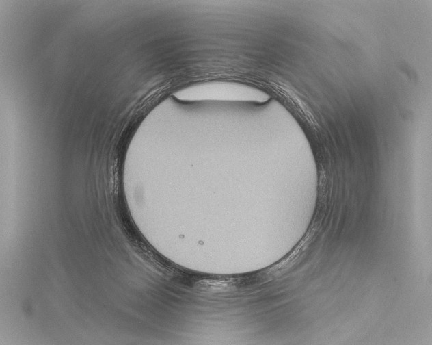 X0000115400170200912011212