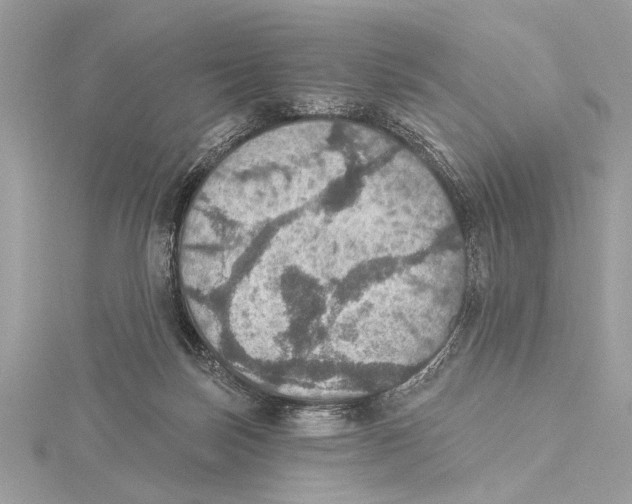 X0000115400171200912011212