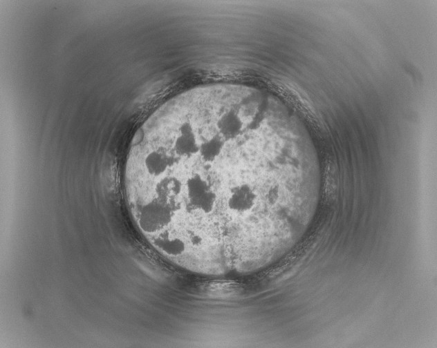 X0000115400173200912011212