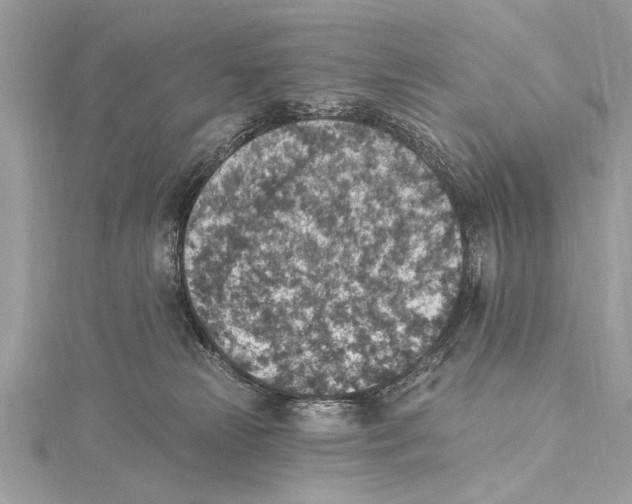 X0000115400181200912011213