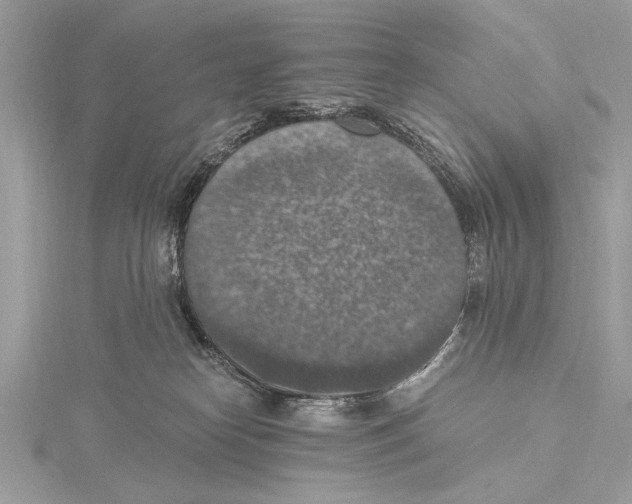 X0000115400182200912011213