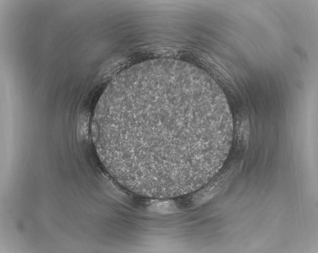 X0000115400185200912011213