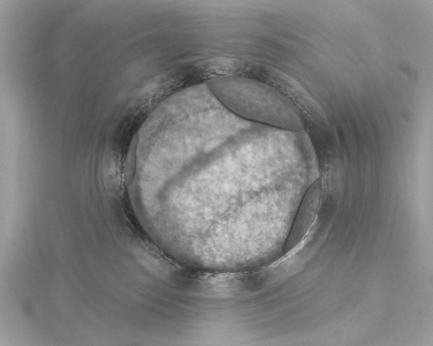 X0000115400186200912011213