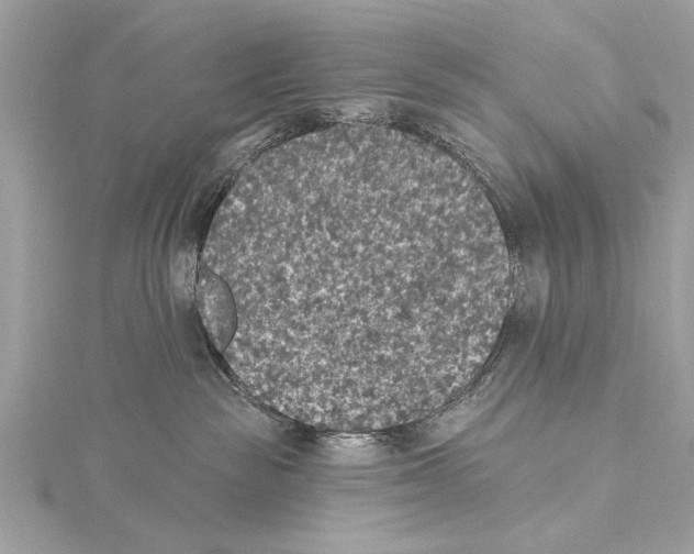 X0000115400189200912011213