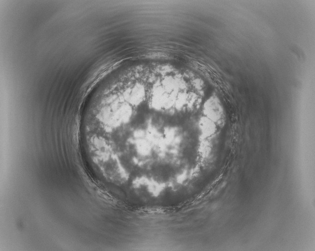 X0000115400194200912011212