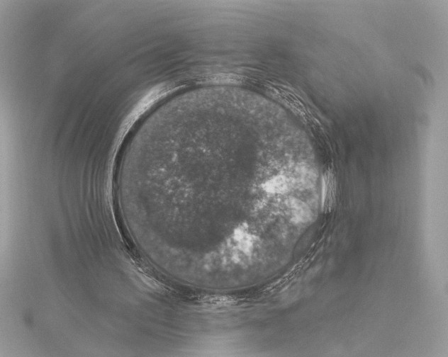 X0000115400195200912011212