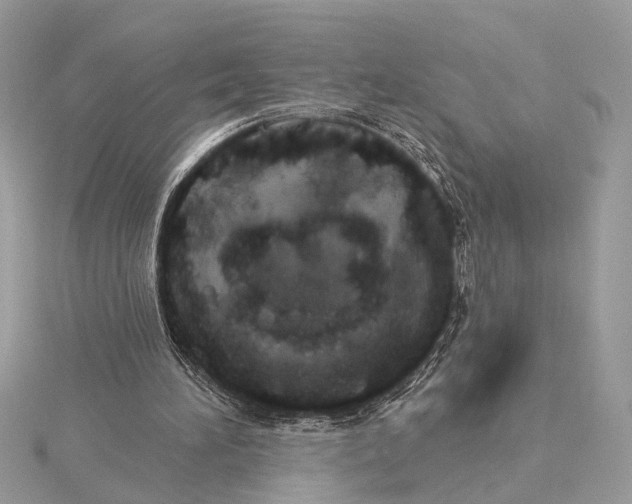 X0000115400196200912011212