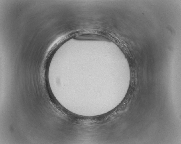 X0000115400197200912011212