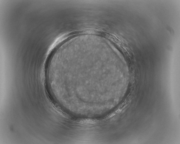 X0000115400198200912011212