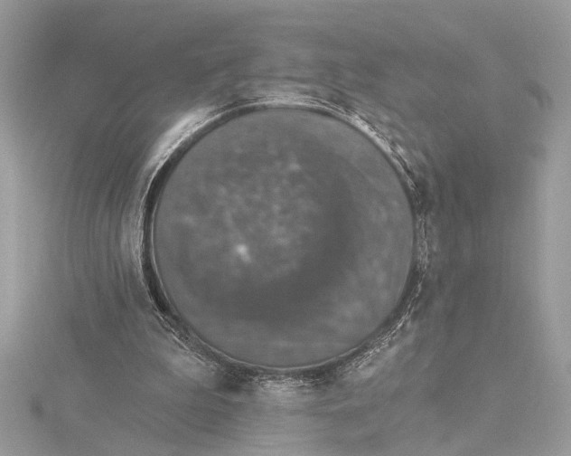 X0000115400199200912011212