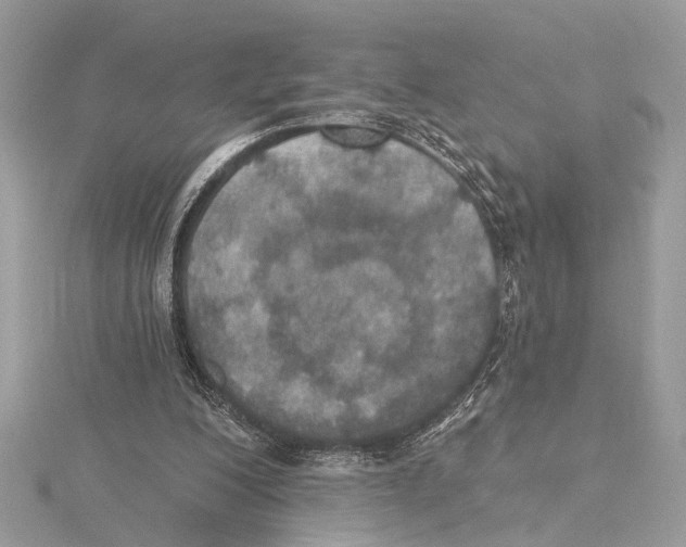 X0000115400200200912011212