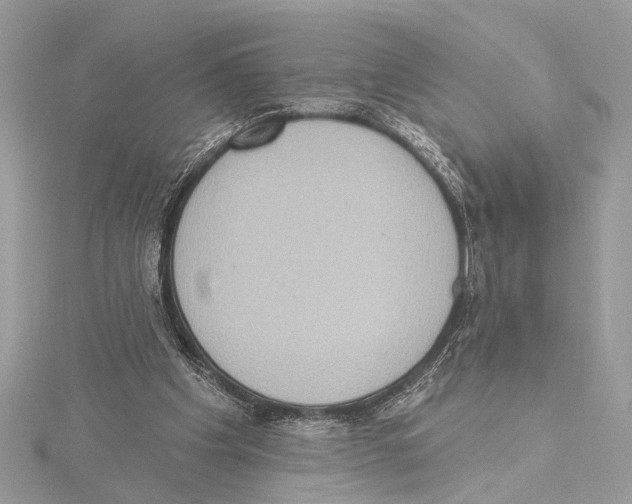 X0000115400201200912011212