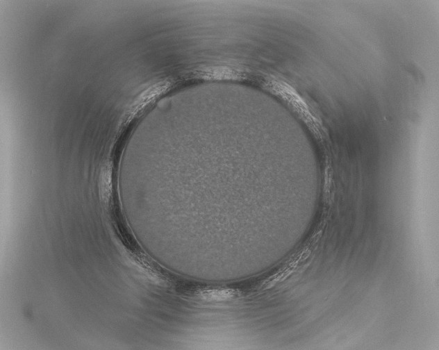 X0000115400202200912011212