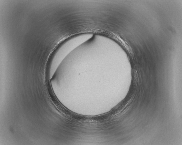 X0000115400203200912011212