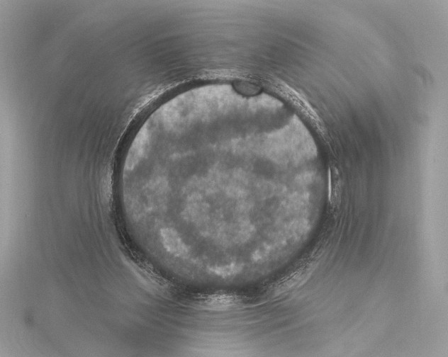 X0000115400204200912011212