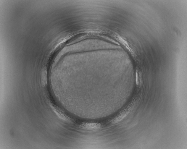 X0000115400205200912011212