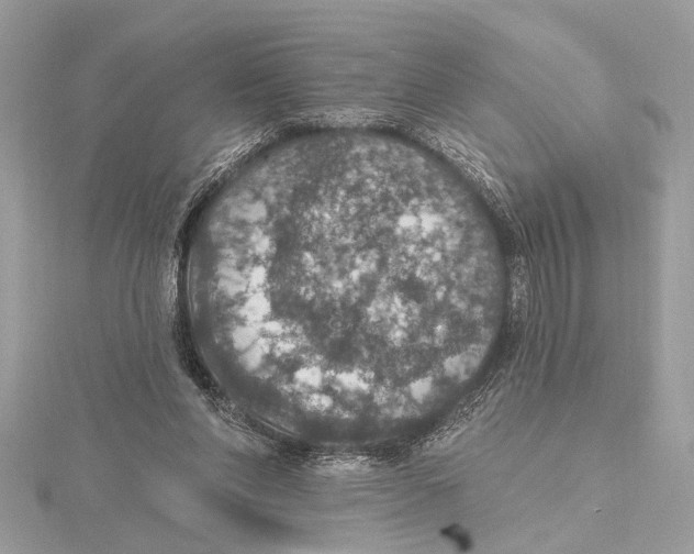 X0000115400206200912011212