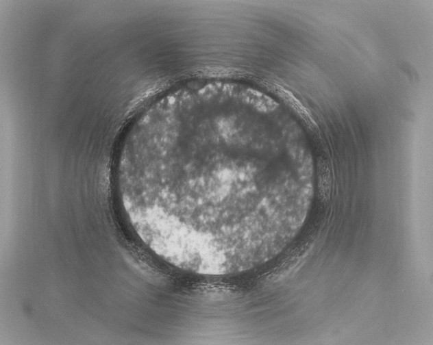 X0000115400207200912011212