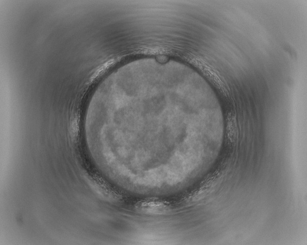 X0000115400208200912011212