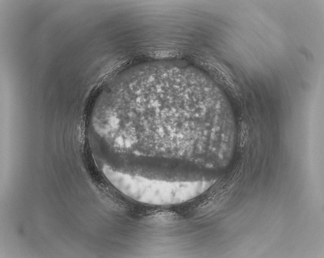 X0000115400210200912011212