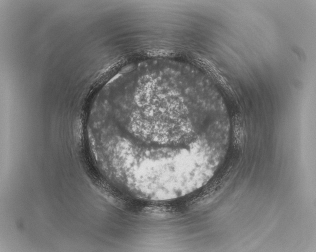 X0000115400211200912011212