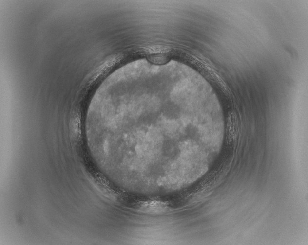 X0000115400212200912011212