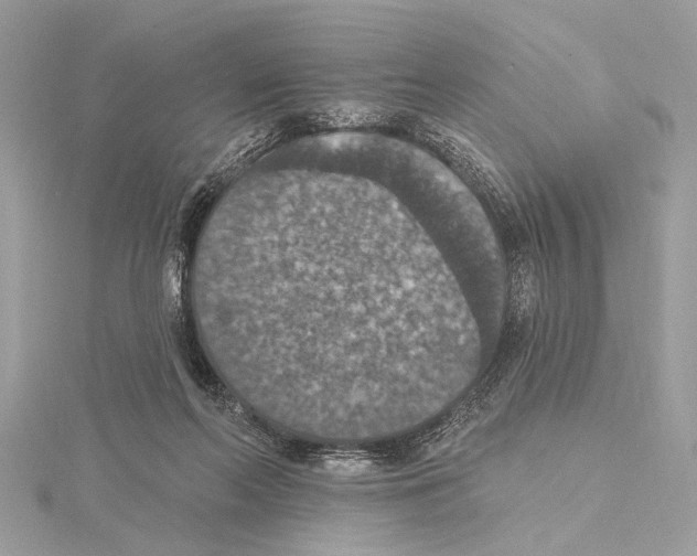 X0000115400214200912011212