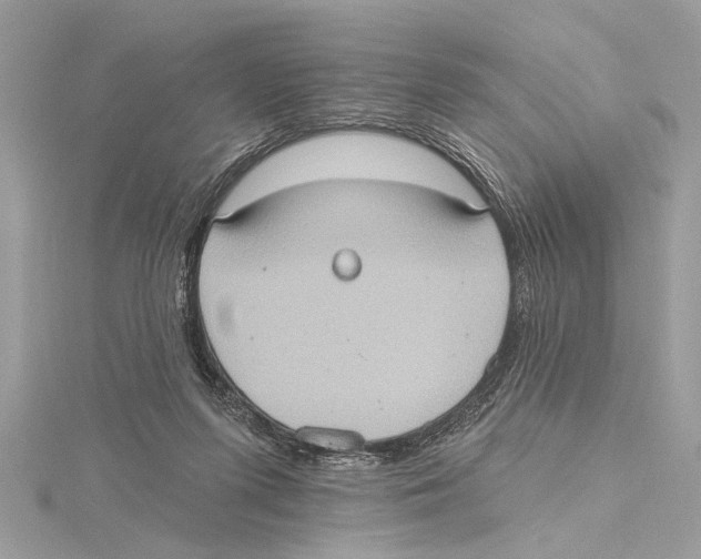 X0000115400215200912011212