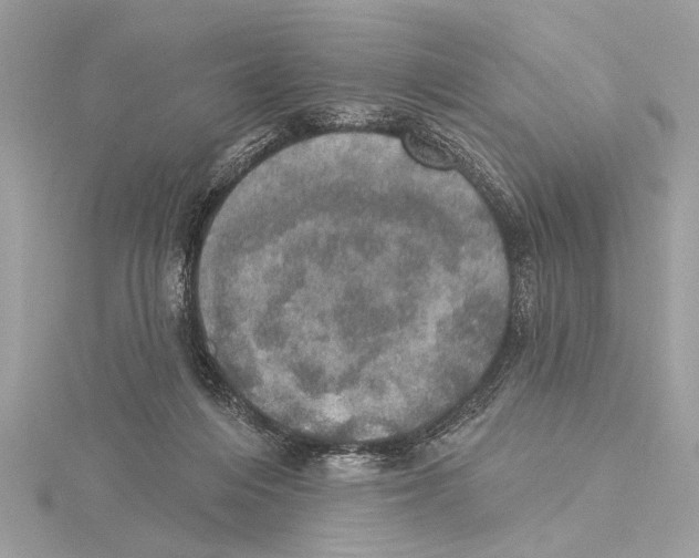 X0000115400216200912011212