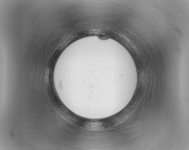 X0000115400217200912011212