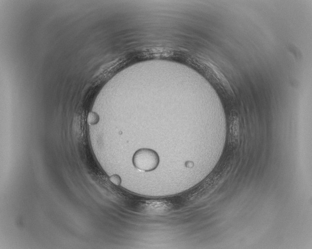 X0000115400218200912011212